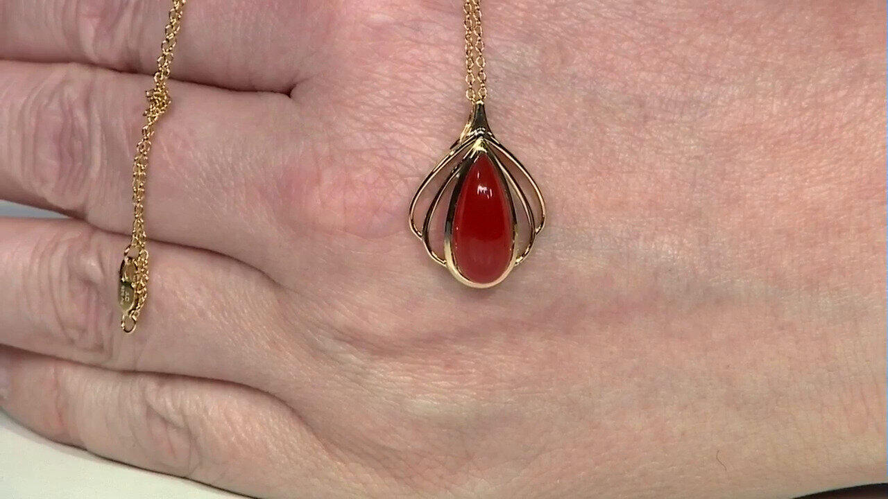 Ver última TV oferta