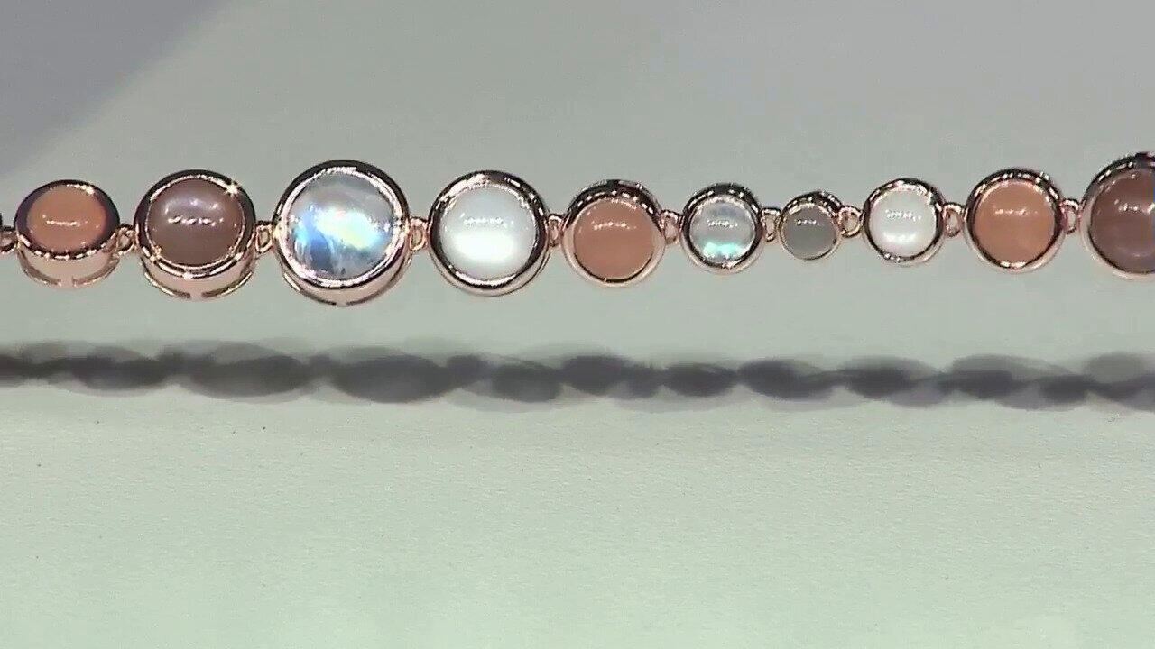 Ver última TV oferta