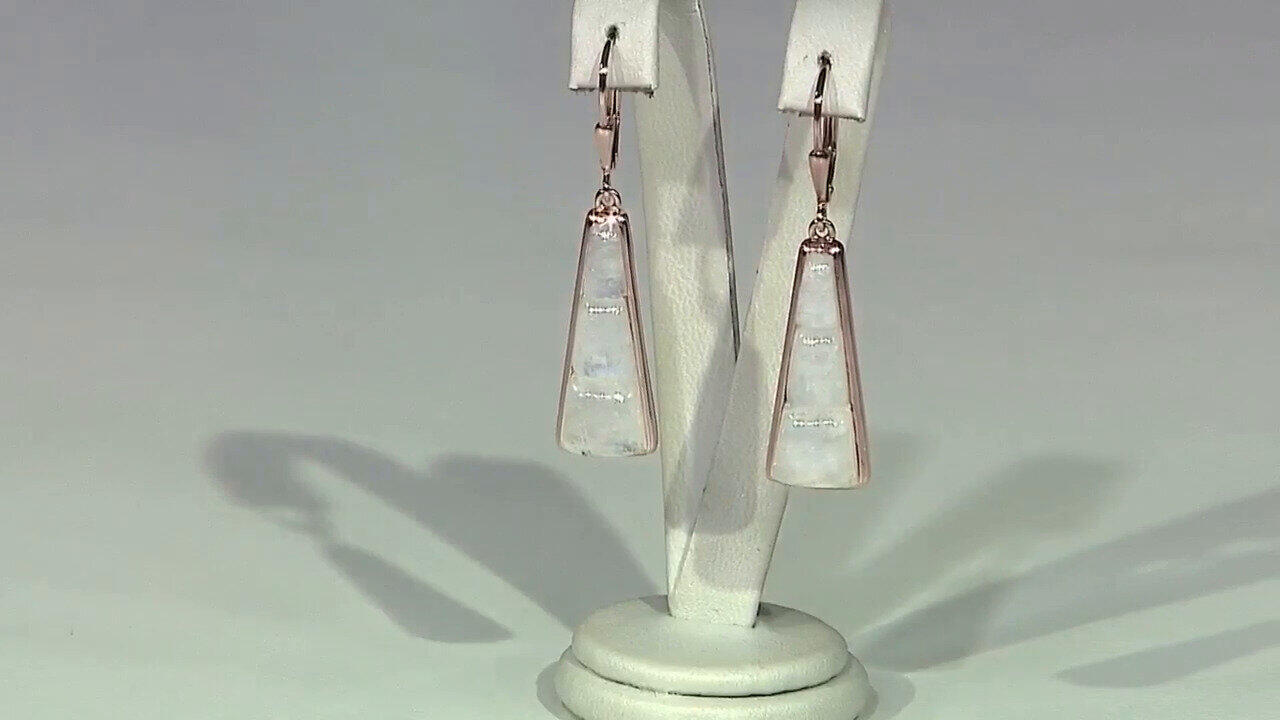 Letzte TV-Show ansehen