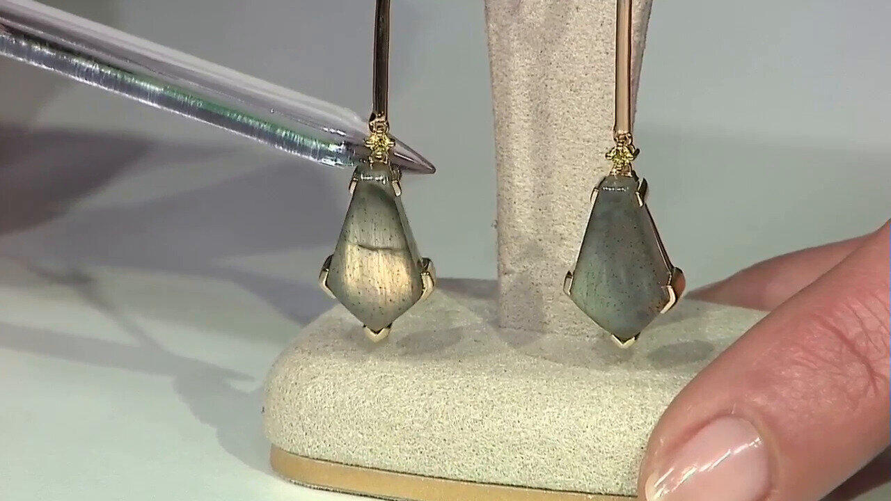 Laatste live aanbiedingen bekijken