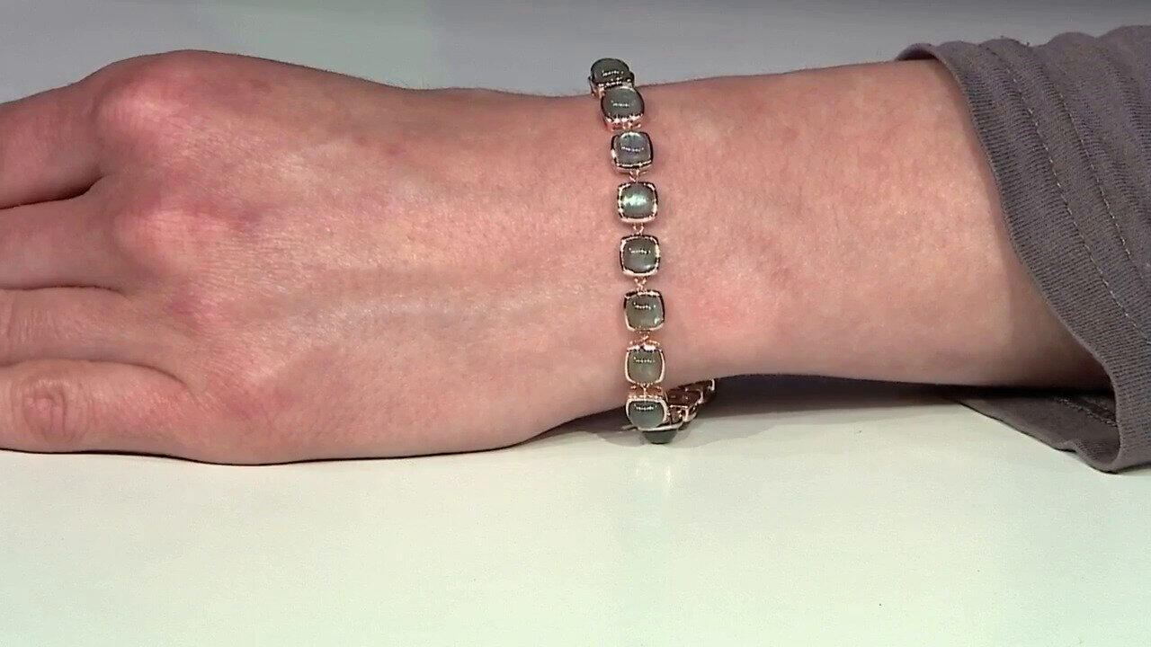 Letzte TV-Show ansehen