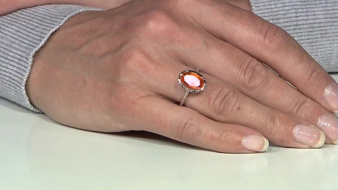 Laatste live aanbiedingen bekijken