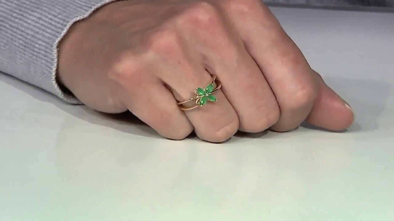 Letzte TV-Show ansehen