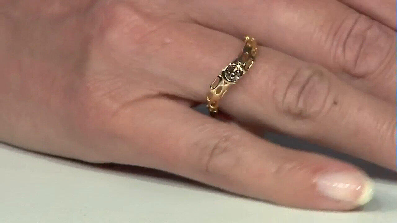 Letzte TV-Show ansehen