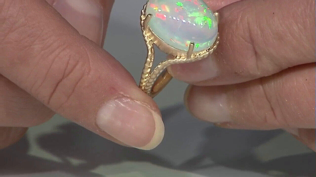 Letzte TV-Show ansehen