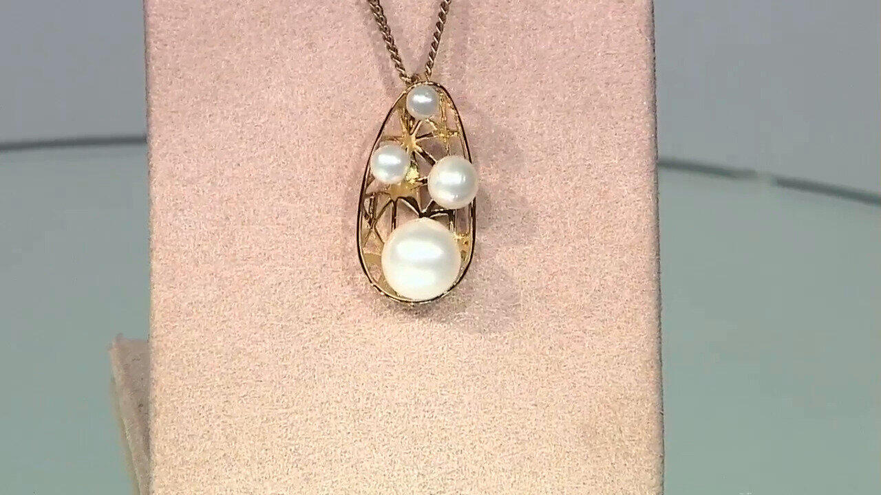 Letzte TV-Show ansehen