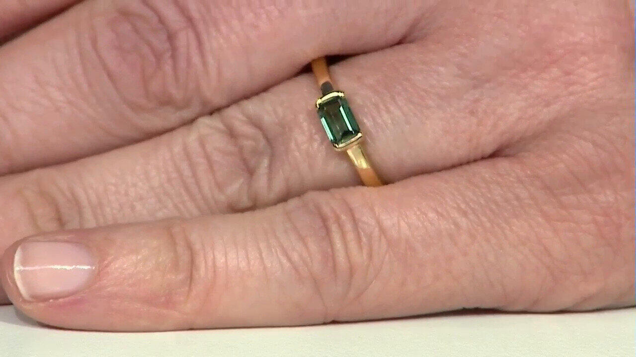 Letzte TV-Show ansehen