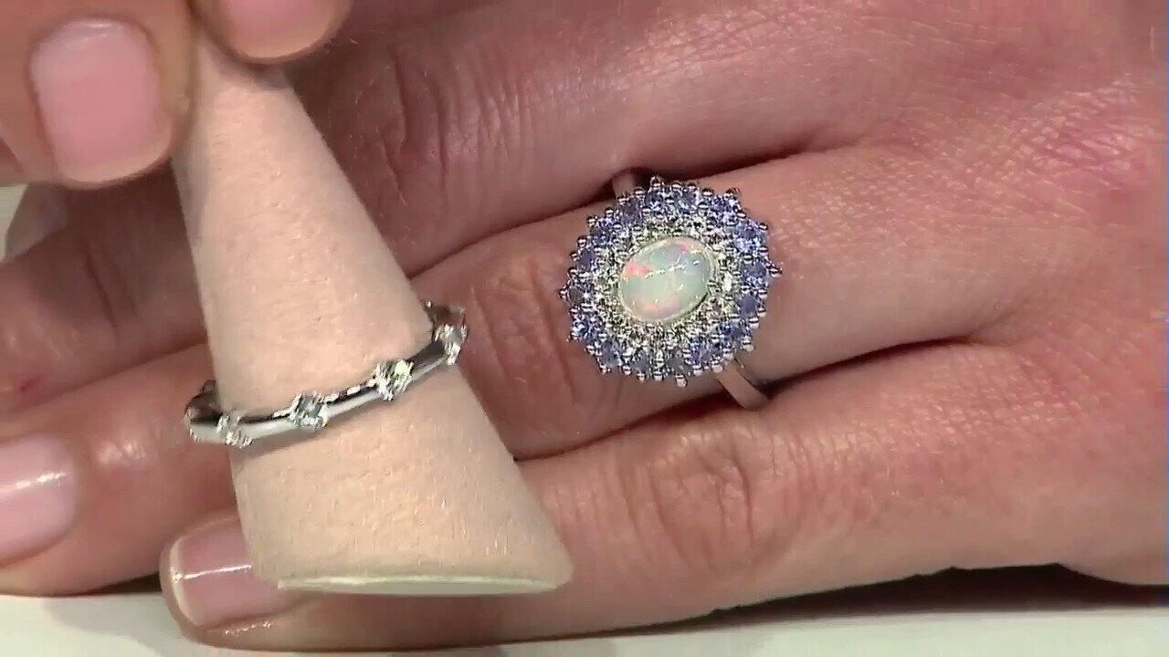 Letzte TV-Show ansehen