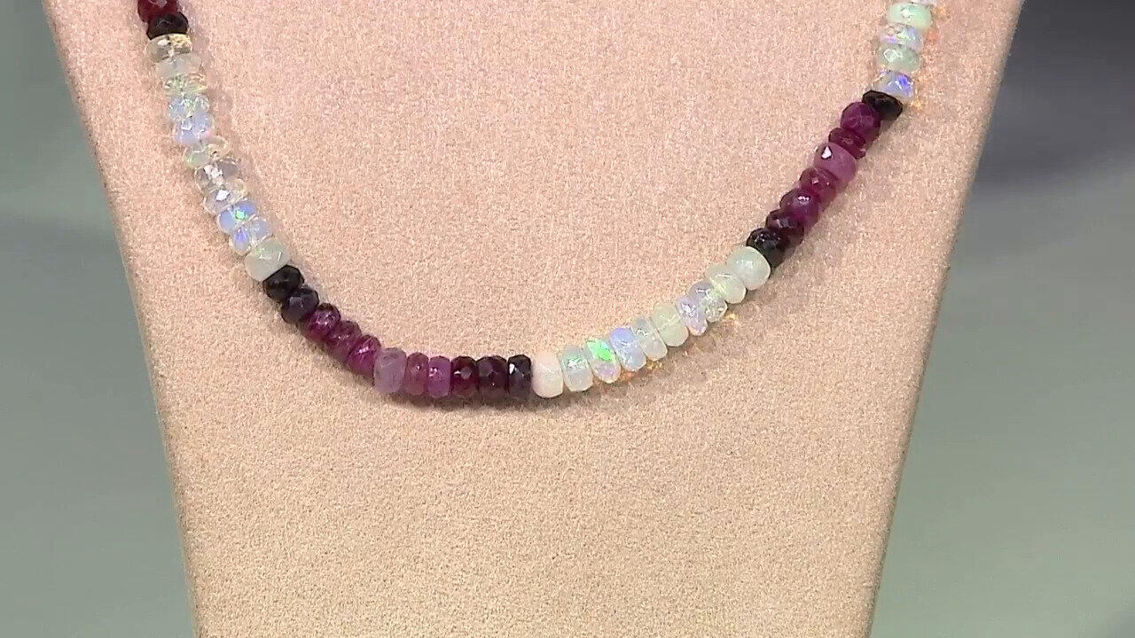 Laatste live aanbiedingen bekijken