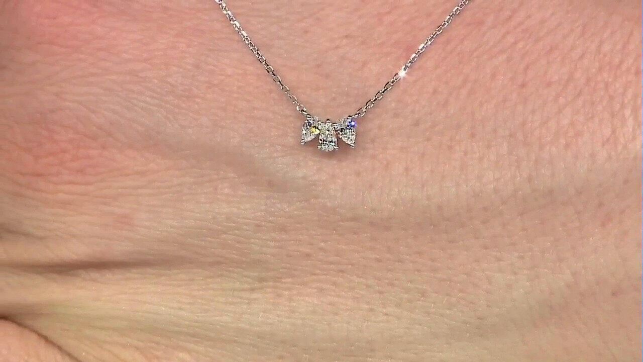 Letzte TV-Show ansehen