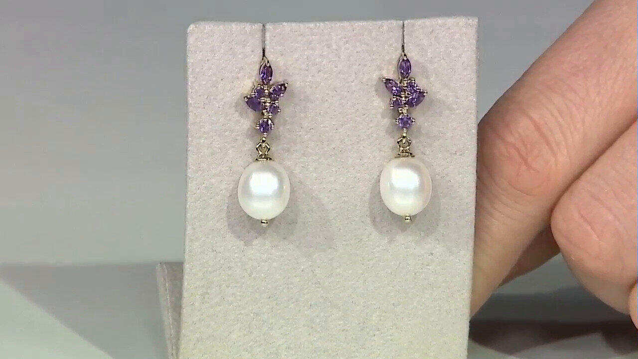 Letzte TV-Show ansehen