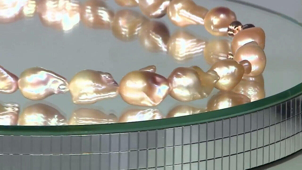 Letzte TV-Show ansehen