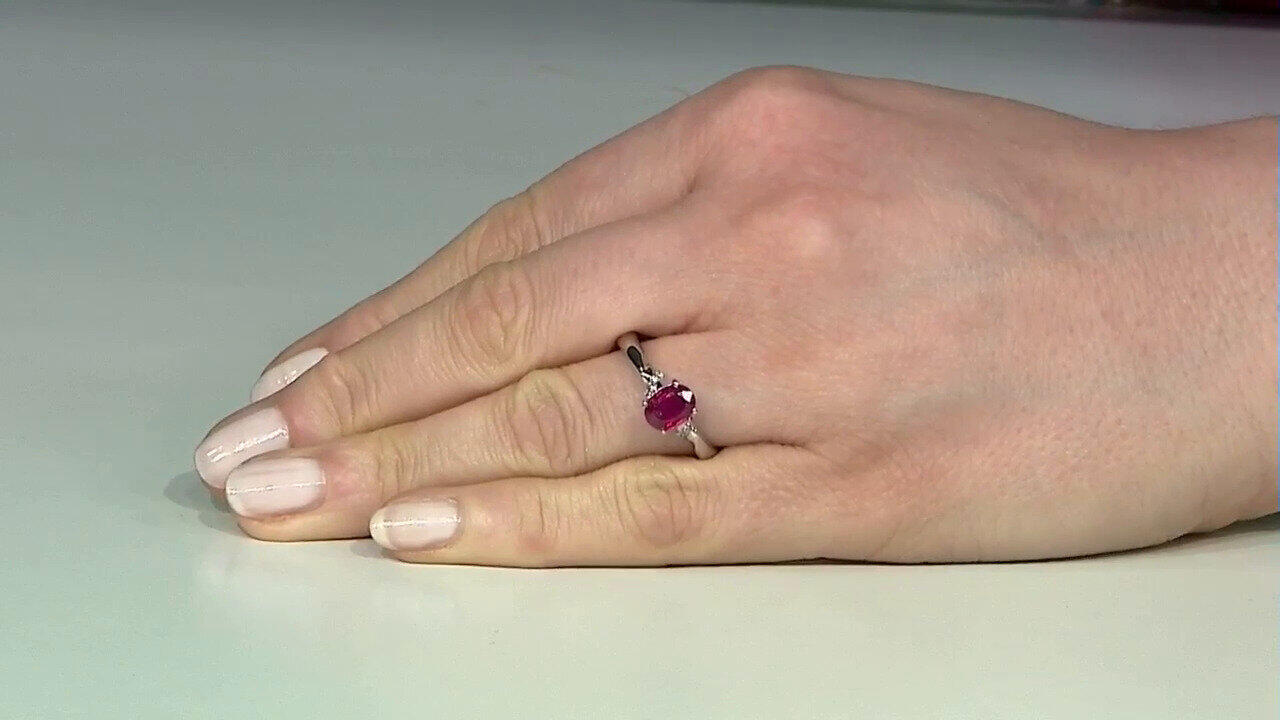 Letzte TV-Show ansehen