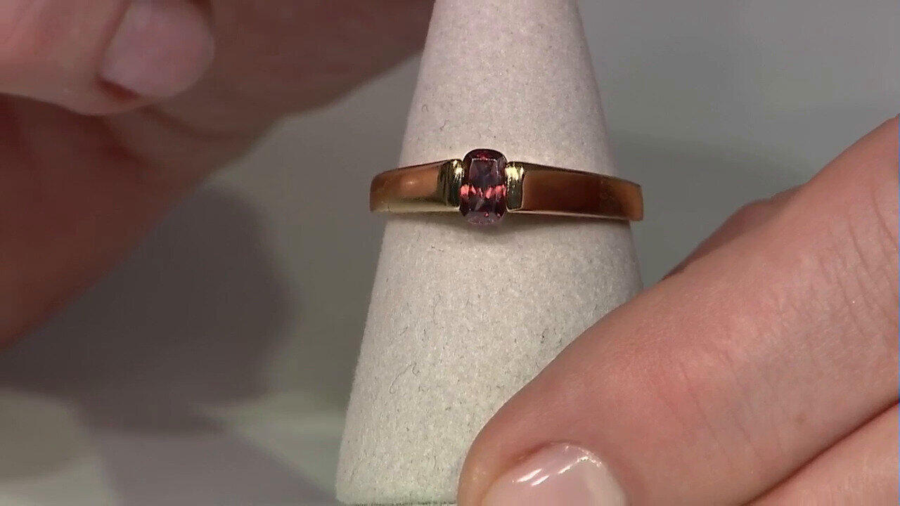 Letzte TV-Show ansehen