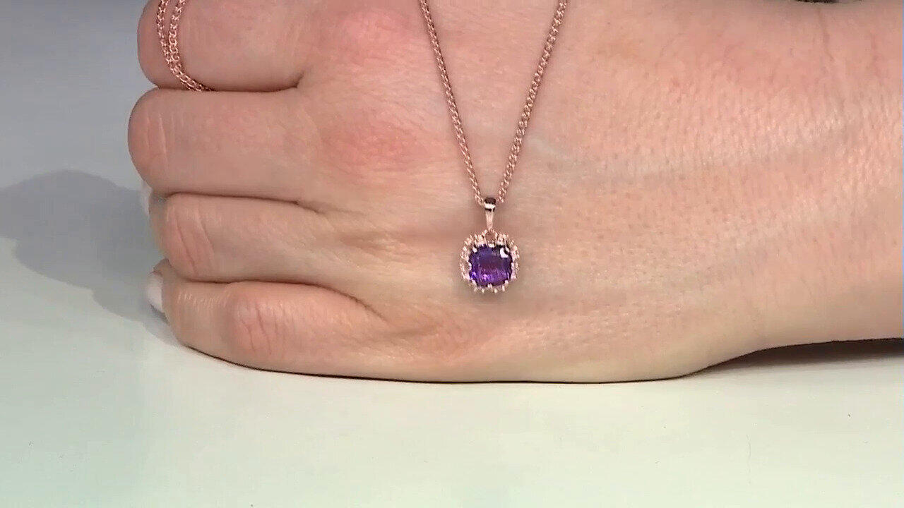 Letzte TV-Show ansehen