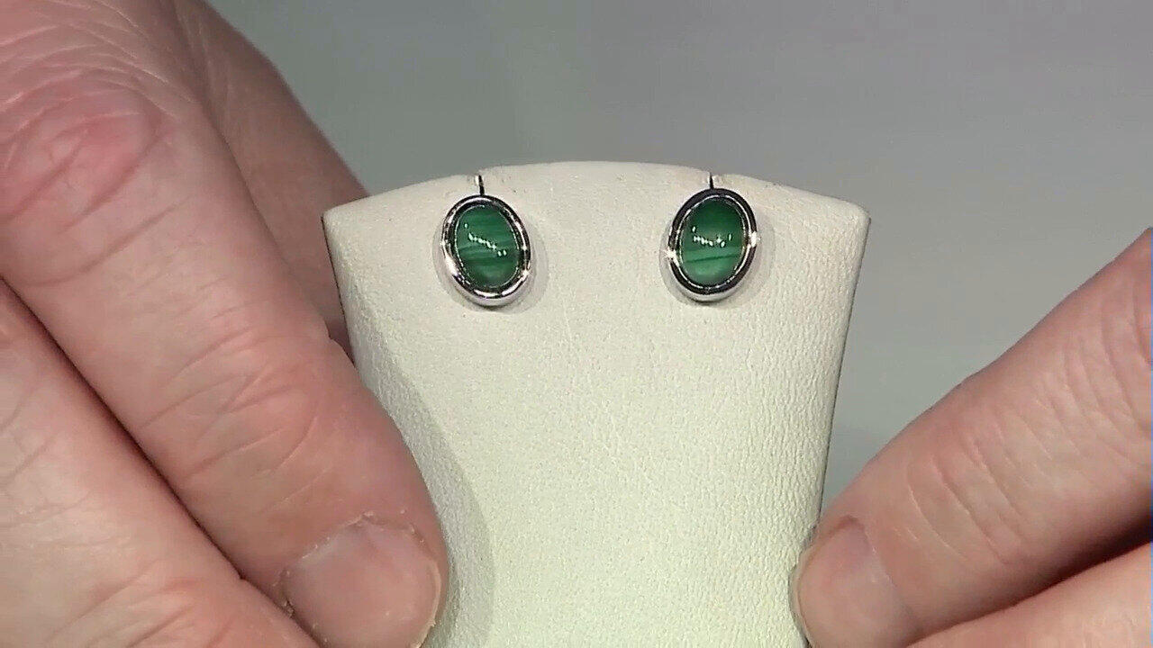 Letzte TV-Show ansehen