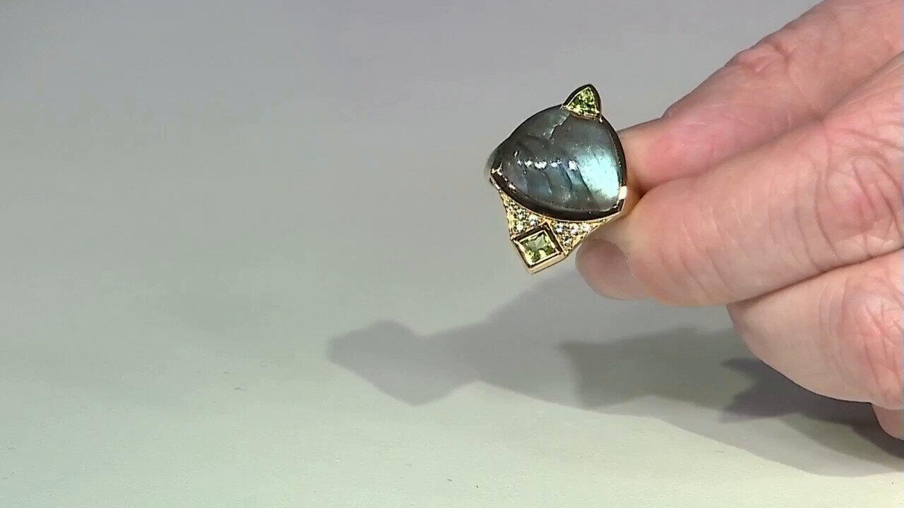 Laatste live aanbiedingen bekijken