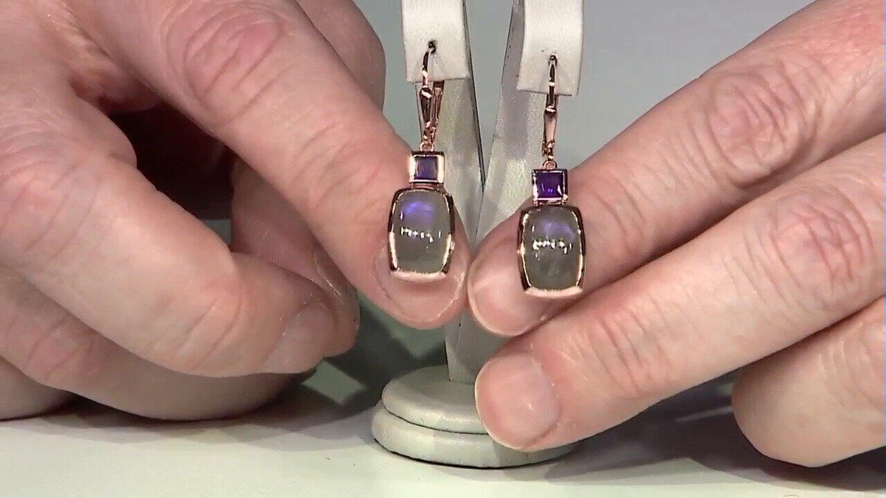 Ver última TV oferta