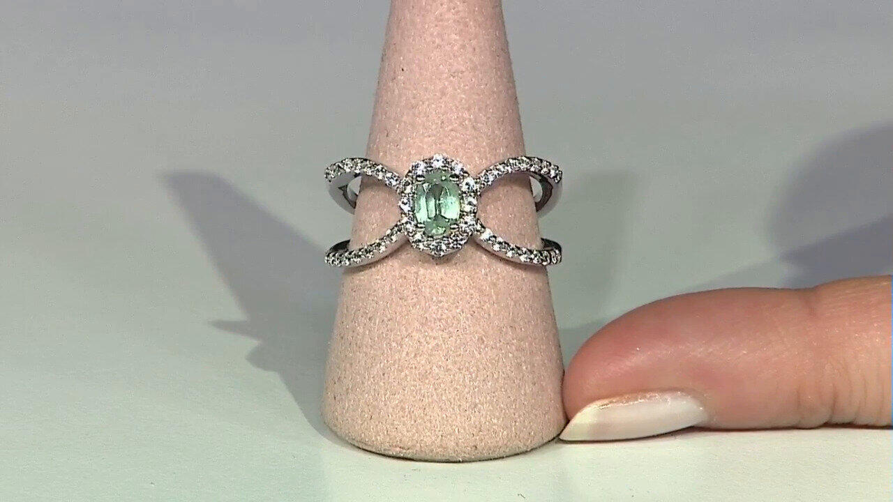 Letzte TV-Show ansehen