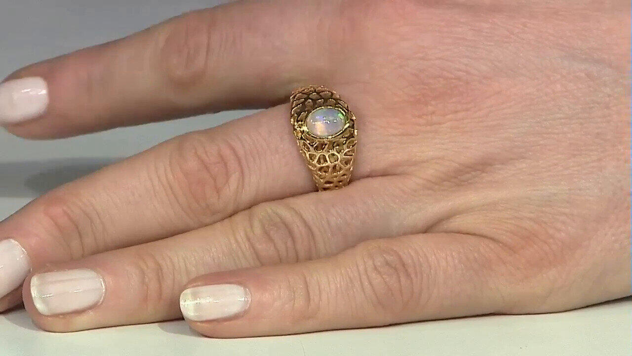 Letzte TV-Show ansehen