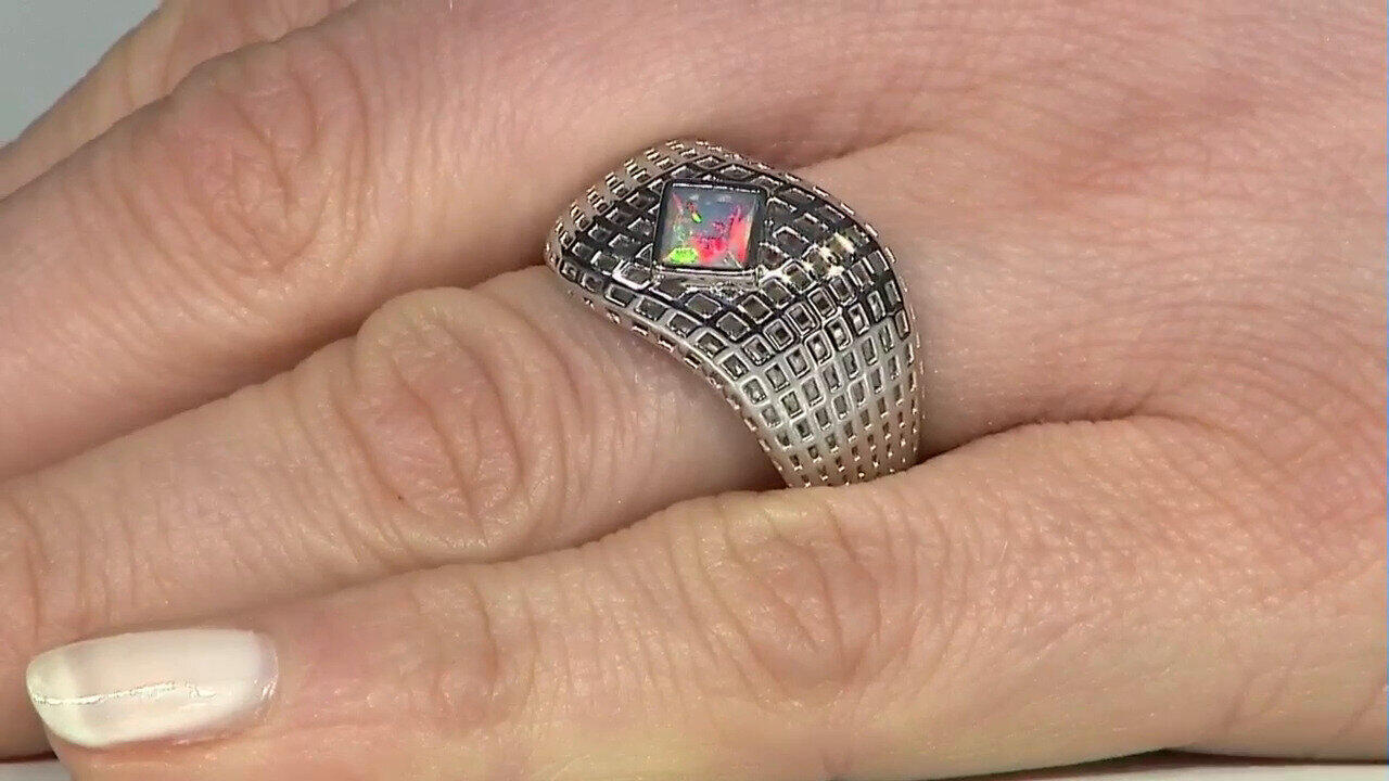 Letzte TV-Show ansehen