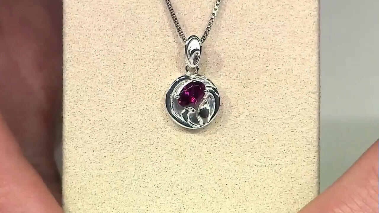 Letzte TV-Show ansehen