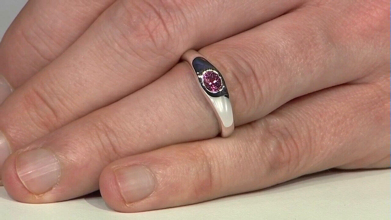 Letzte TV-Show ansehen