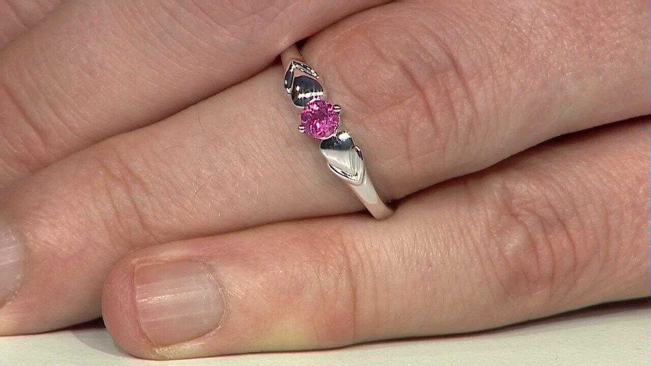 Letzte TV-Show ansehen