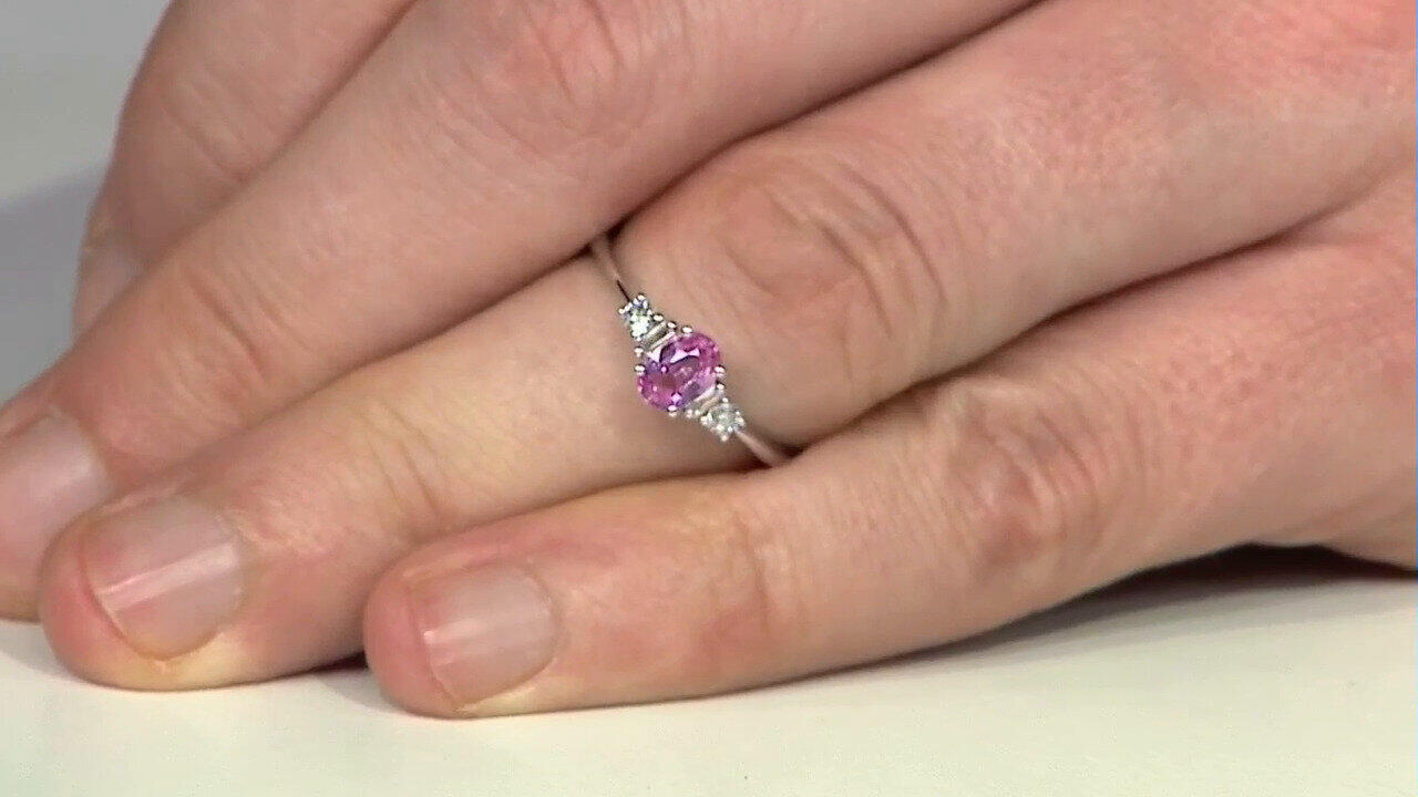 Letzte TV-Show ansehen