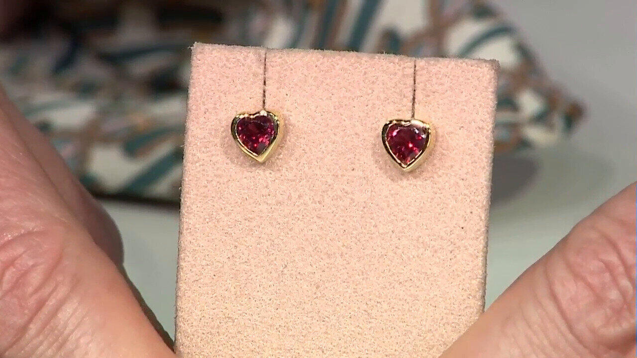 Laatste live aanbiedingen bekijken