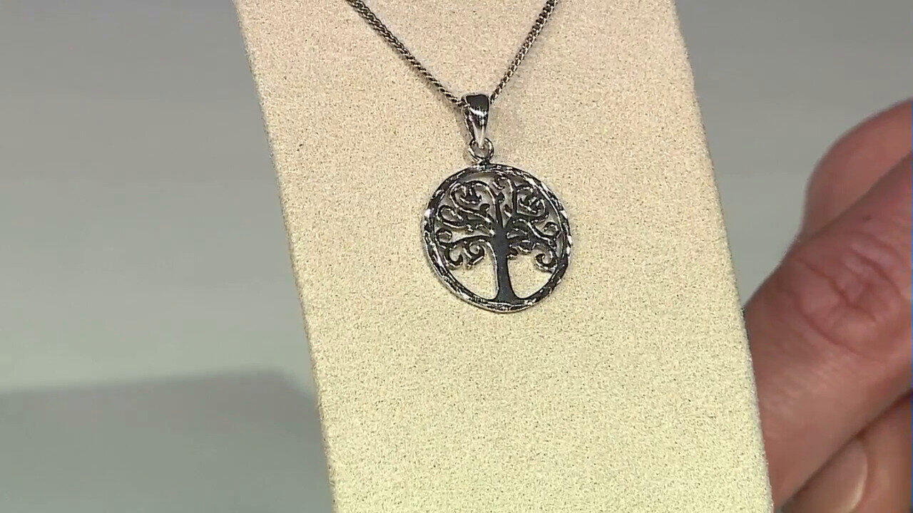 Letzte TV-Show ansehen