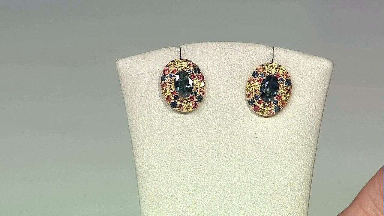 Laatste live aanbiedingen bekijken