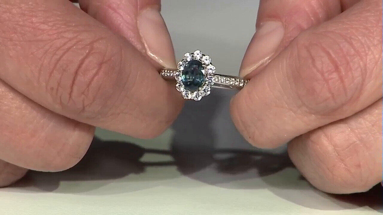 Letzte TV-Show ansehen