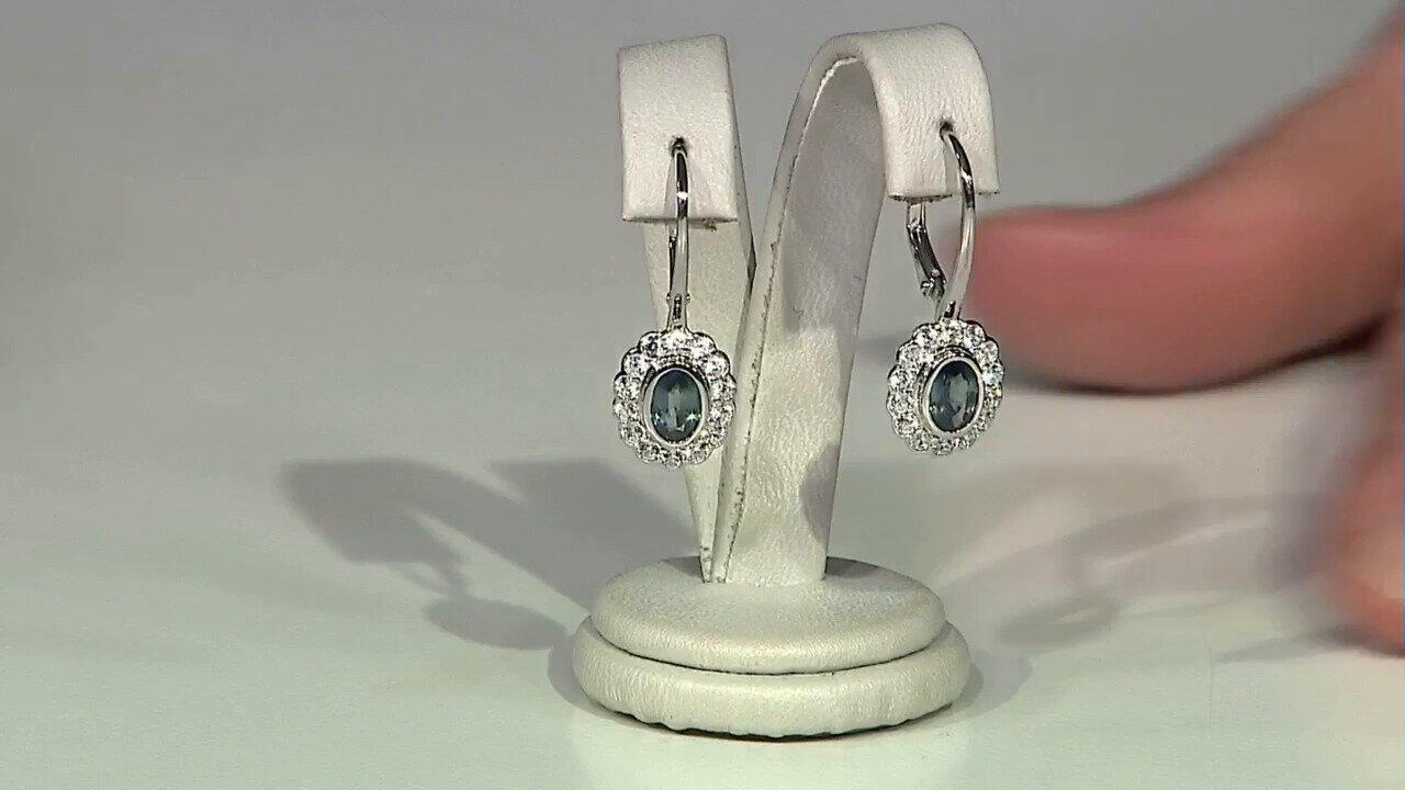 Letzte TV-Show ansehen