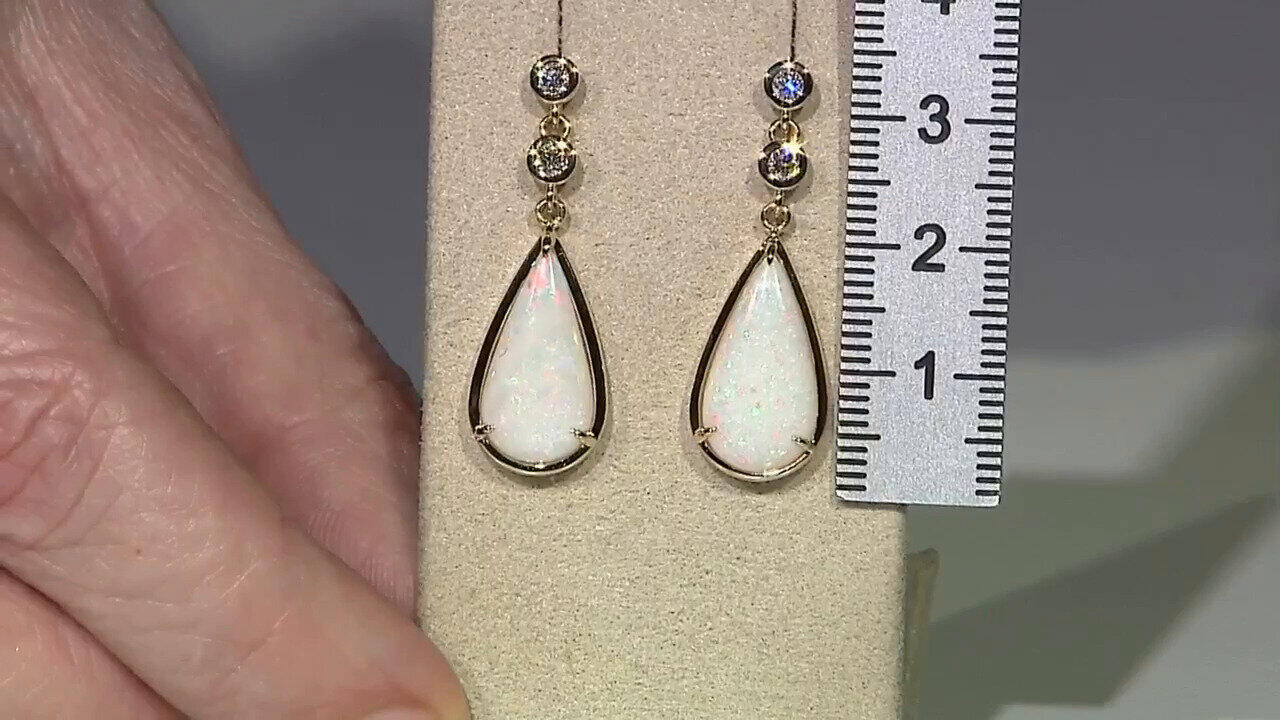 Letzte TV-Show ansehen