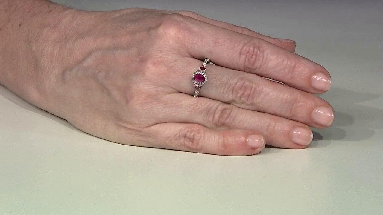 Letzte TV-Show ansehen