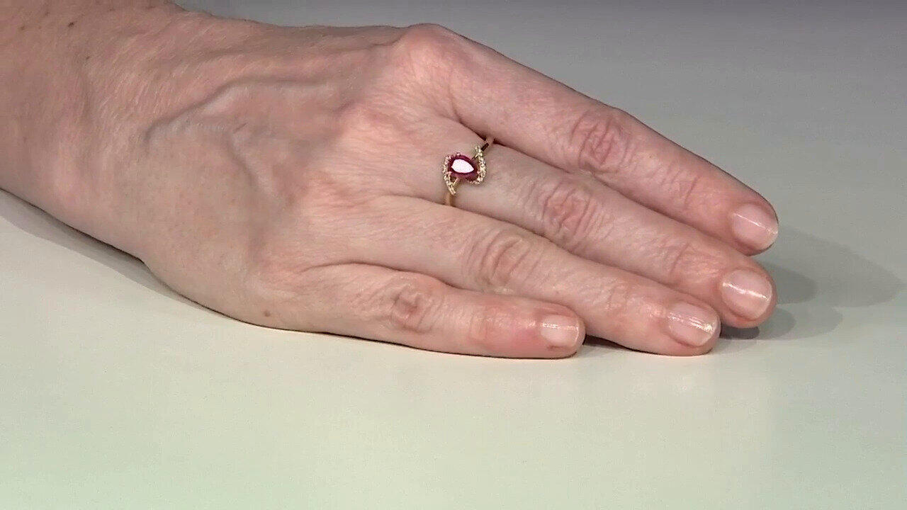 Letzte TV-Show ansehen