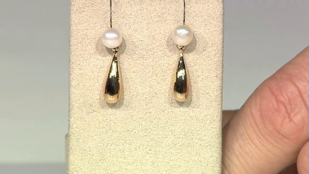 Letzte TV-Show ansehen