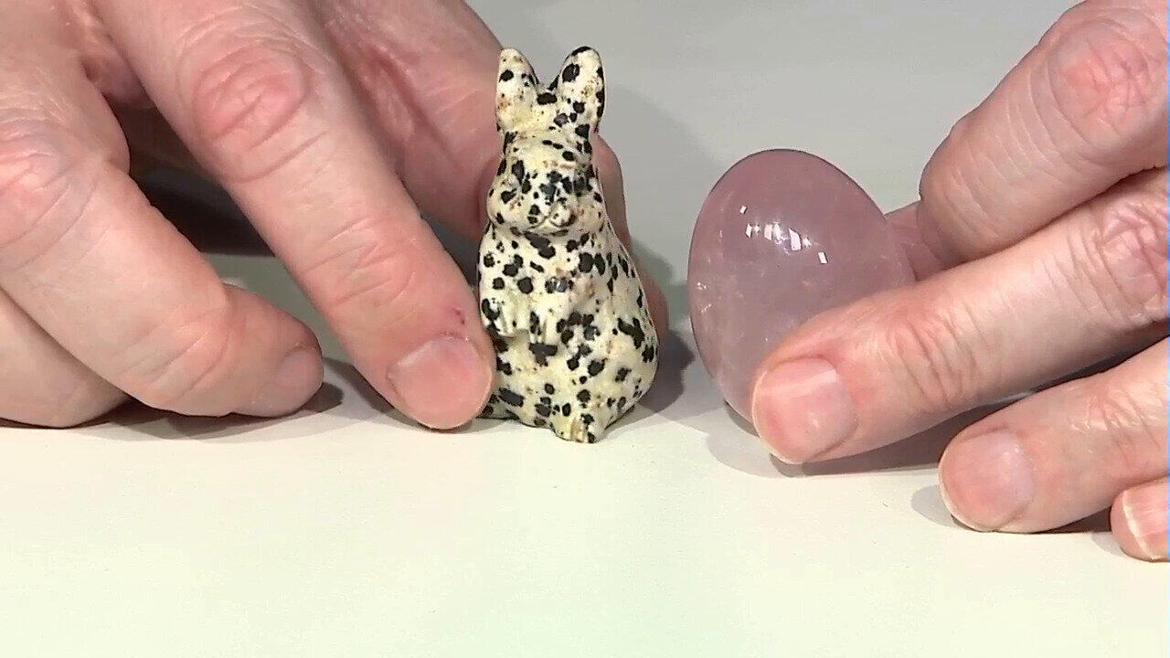 Laatste live aanbiedingen bekijken