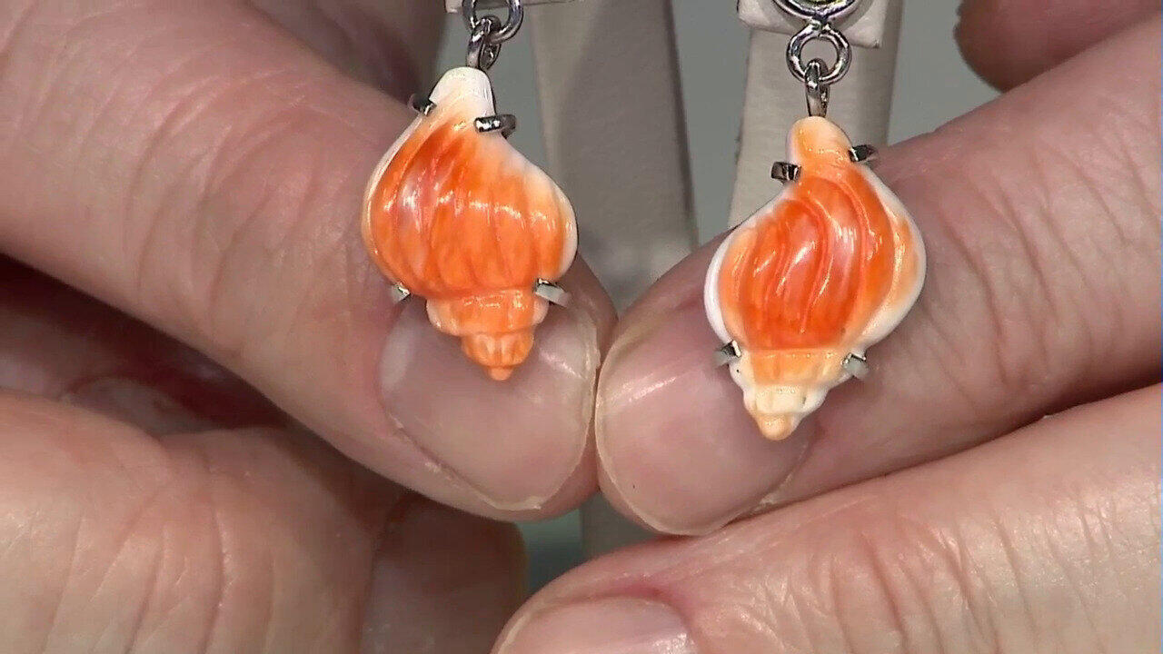 Visualizza l‘ultima asta di gioielli in Tv