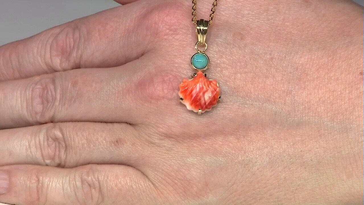 Letzte TV-Show ansehen