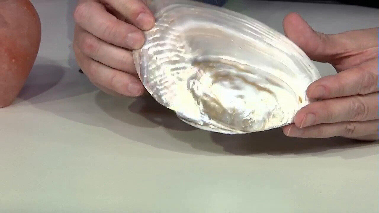 Visualizza l‘ultima asta di gioielli in Tv