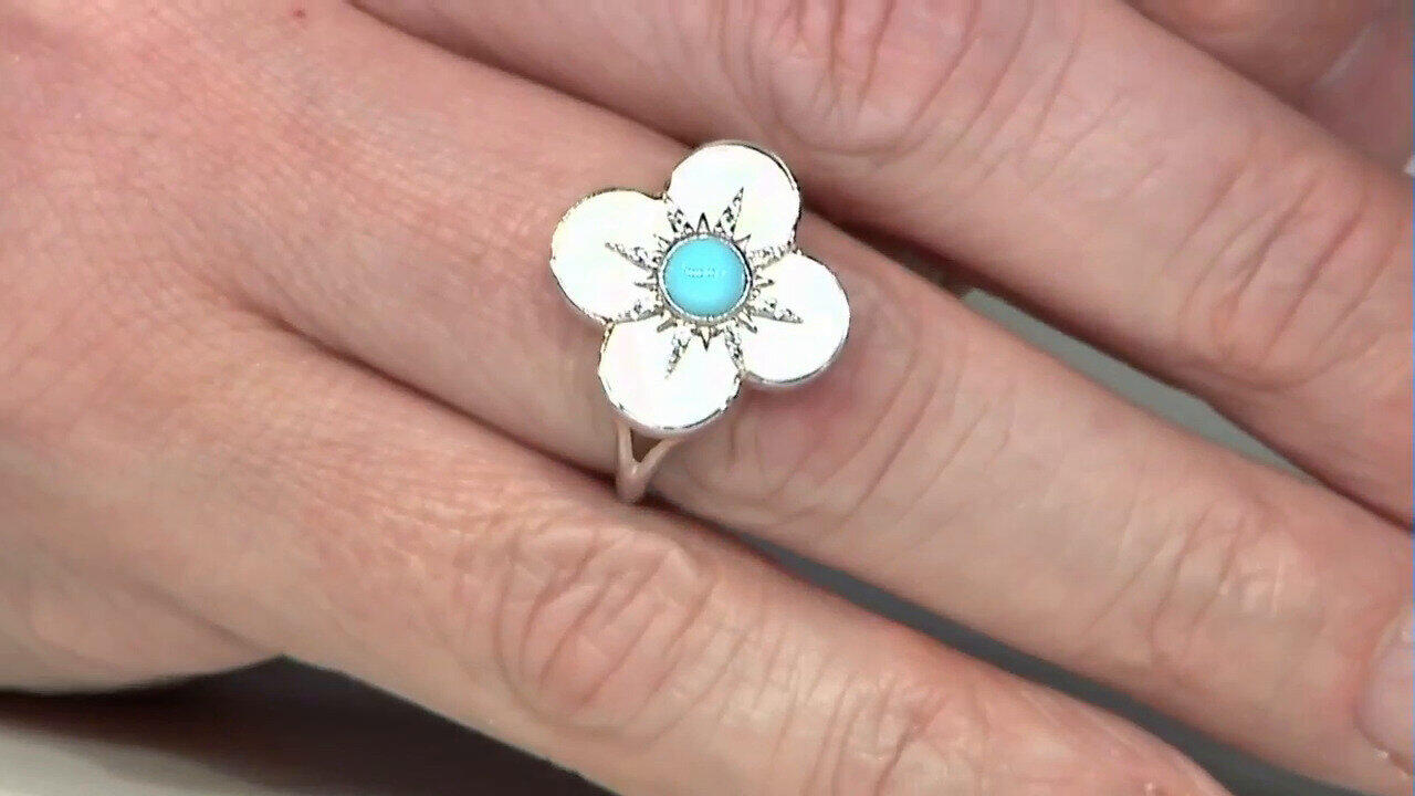 Letzte TV-Show ansehen