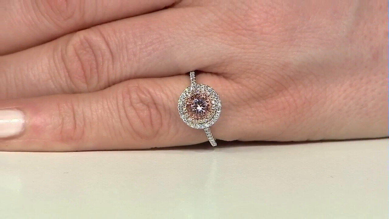 Letzte TV-Show ansehen