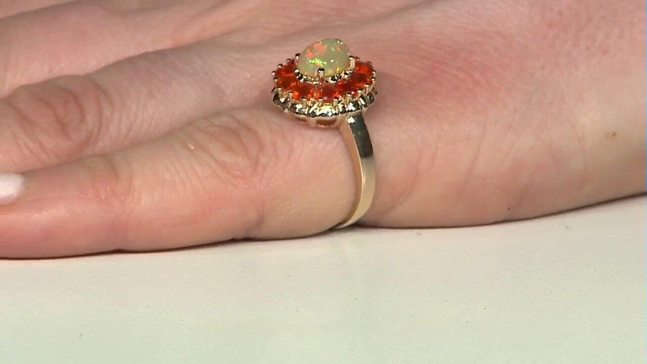 Letzte TV-Show ansehen