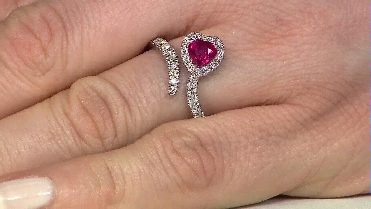 Letzte TV-Show ansehen