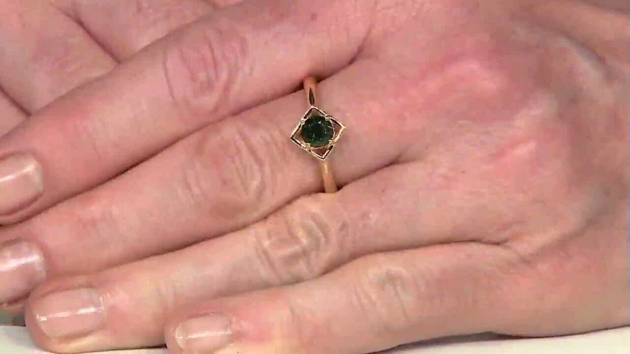 Letzte TV-Show ansehen