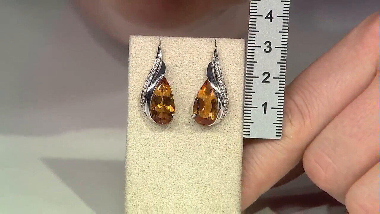 Letzte TV-Show ansehen