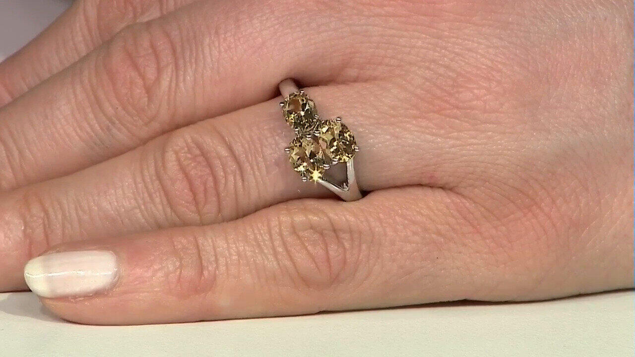 Voir l’enchère du bijou