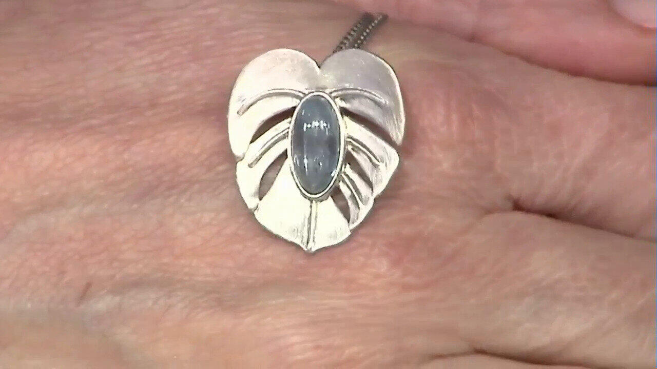 Letzte TV-Show ansehen